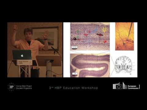 Gaute Einevoll - Future Developments in Theoretical Neuroscience