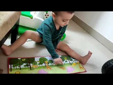 Mokshit hunting animals