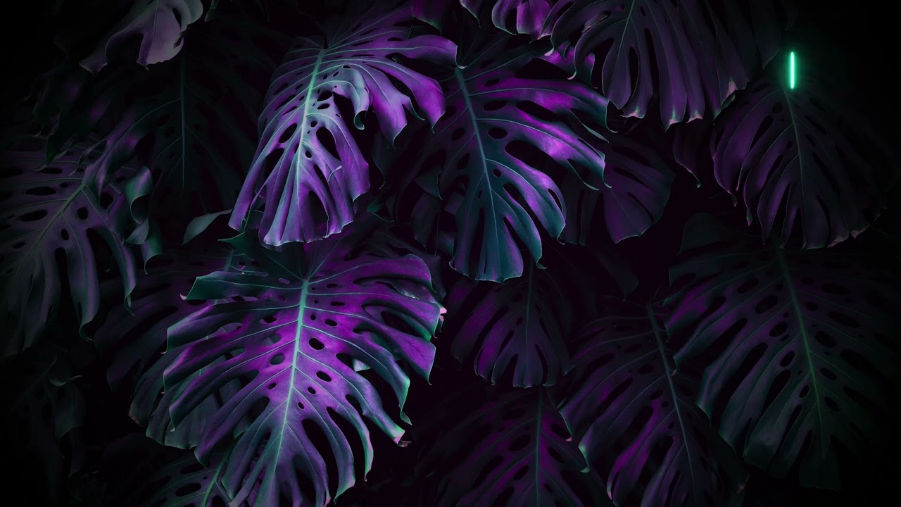 Empowering Sustainable Solutions: myHerb's Commitment to a Greener Future