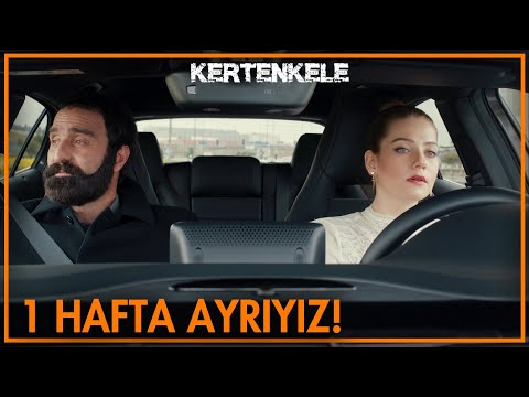 Bahama'ya mı gidiyoruz? 🌴 - Kertenkele
