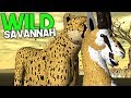 Wild Savannah Ataque Em Alta Velocidade Ca ada pica quo