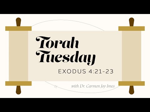 Torah Tuesday - Exodus 4:21-23