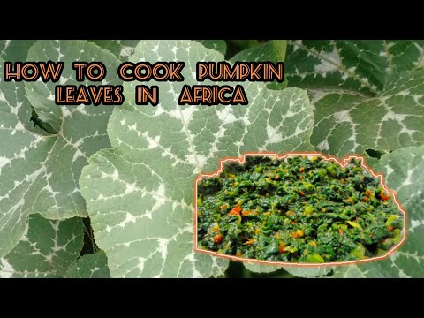 How we cook pumpkin leaves in Africa, Zambia