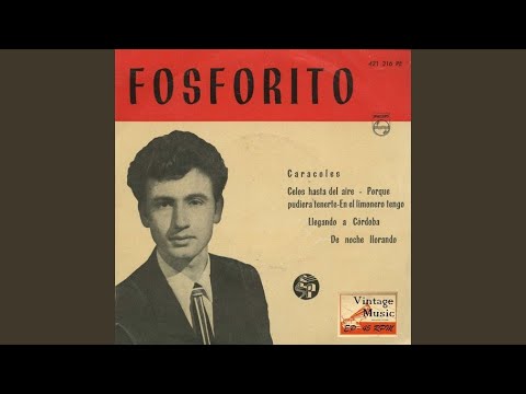 Llegando A Cordoba (Alegrías)