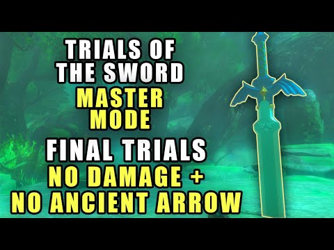 How I Beat Final Trials of the Sword DAMAGELESS on Master Mode