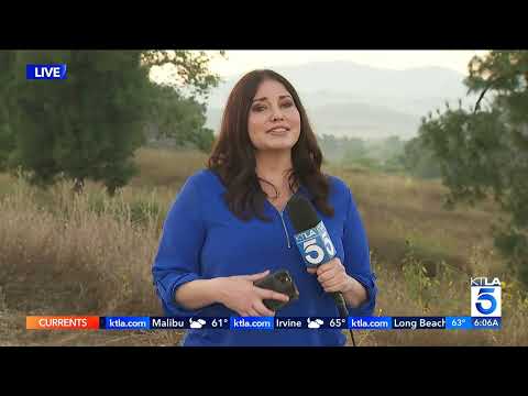 KTLA DT 07022023 0604AM