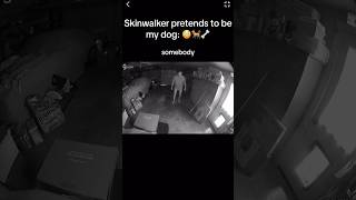 Skinwalker pretends to be MY dog 😳