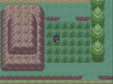 Touhoumon Fire Red ver 1.8 Part 2 - Training!!!