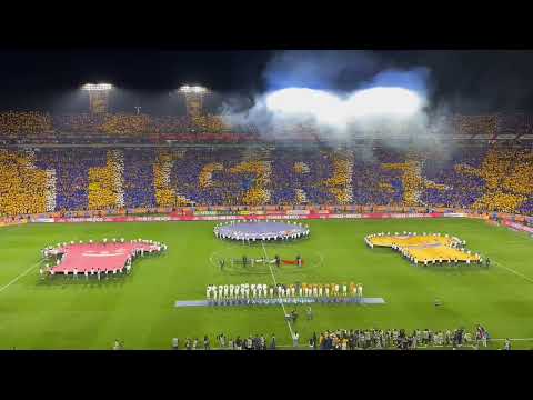 "" Barra: Libres y Lokos &bull; Club: Tigres