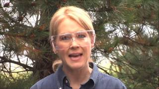 Septics 201 (Full Course): DIY Septic System Inspection