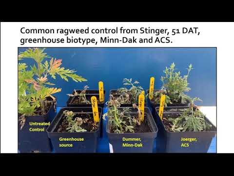 Sugarbeet Research Reporting Session - January 10, 2023 - Session #1