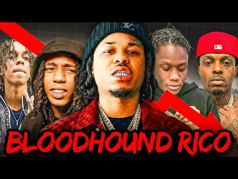 The Tragic Downfall Of The Bloodhounds - What Happened To Them