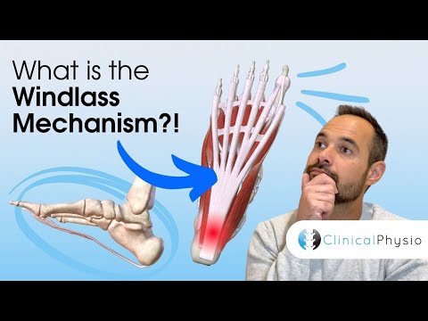 What is the Windlass Mechanism? | How The Role of The Plantar Fascia Helps Us Walk!