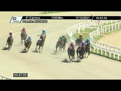 211217 c05 - TOMMY SHELBY - HIPODROMO LAS PIEDRAS