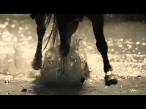 Avicii ft Aloe Blacc & Pitbull - Wake Me Up (Worldwide Remix) [Official Video]