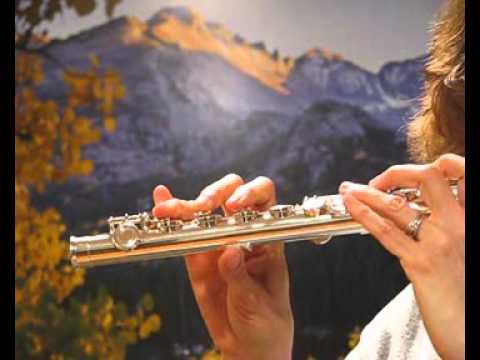 Di Zhao MiniDi Flute (New) - Lower to Mid Range Demo