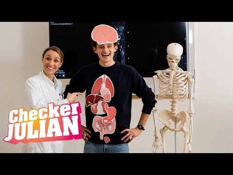 Der Organe-Check | Reportage für Kinder | Checker Julian