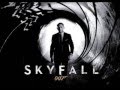 Adele - Skyfall [dance remix]