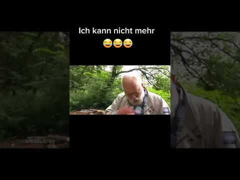 Da sieht man nur noch Möpse #shorts #möpse #frauen #leute