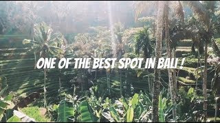 preview picture of video '#TravelVlog Bali 2018 | One of the Best Spot in Bali , Tegalalang Rice Terrace (Travel to Bali)'