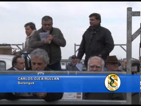 CARLOS OJEA RULLAN SURANGUS - Surangus -Arzoz Haciendas S.A. - 28-06-2013