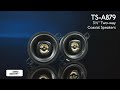 Pioneer TS-A879 Wide Rage Tweeter - System Overview