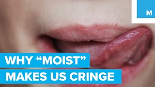 Why the Word &quot;Moist&quot; Makes People Cringe - Sharp Science
