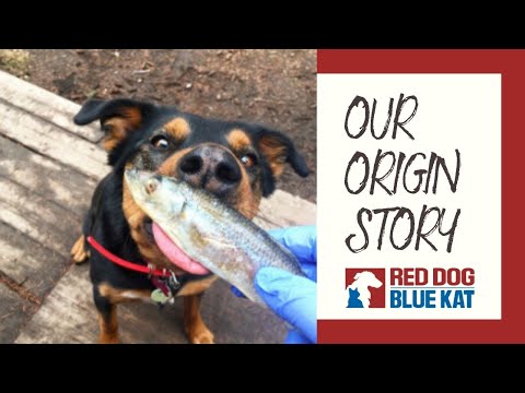 Red Dog Blue Kat Founder Inna Shekhtman | Our Canadian Raw Pet Food Story