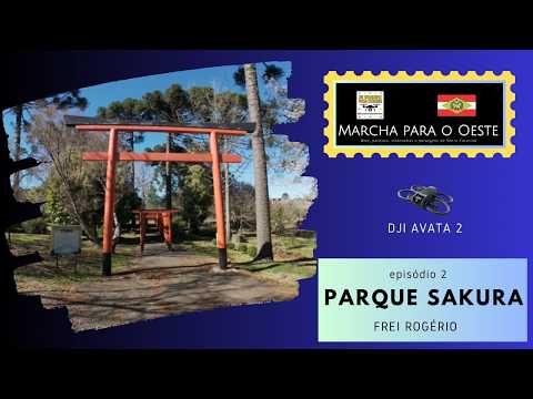 PARQUE SAKURA, em FREI ROGÉRIO: um parque japonês com cerejeiras floridas - MARCHA PARA O OESTE #2