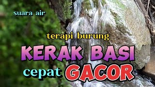 Download lagu Terapi burung kerak basi cepat gacor dengan suara air, terapi air mp3