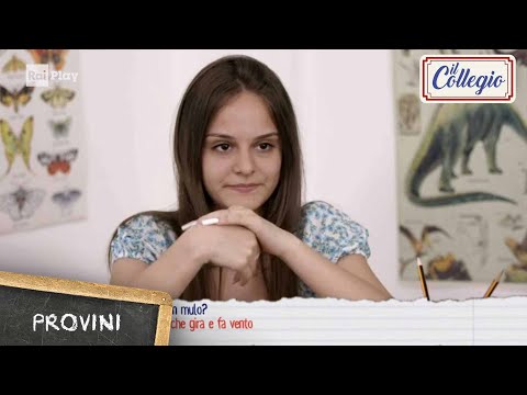 Provini: Cos'è un mulo? "Quello che gira e fa vento" - Il Collegio 8