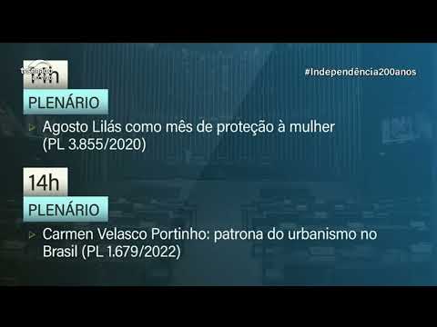 Senado vota projetos da pauta feminina nesta quarta-feira. Veja o que está programado