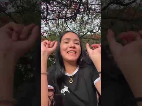 YAGUARA HUILA