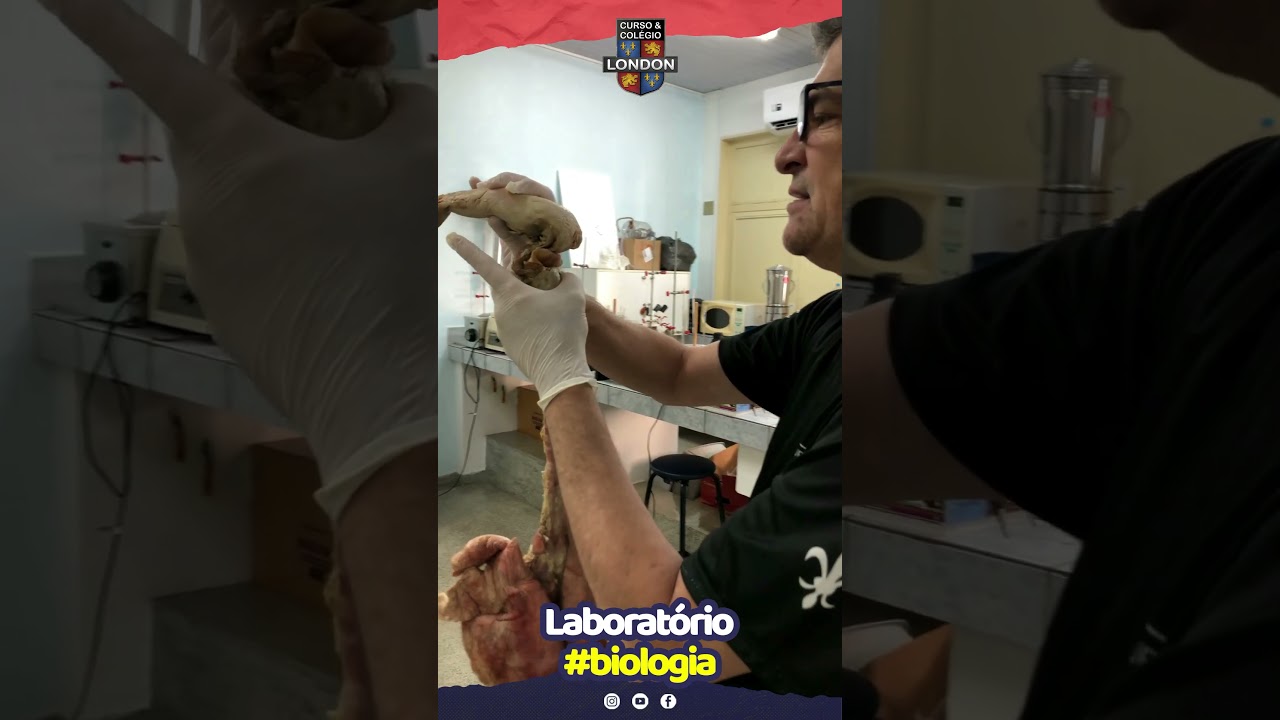 Laboratório #biologia