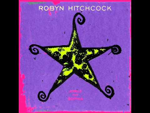 Robyn Hitchcock - Viva! Sea Tac
