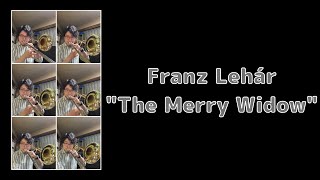 Download lagu Franz Lehár The Merry Widow #Shorts mp3 Download lagu Franz Lehár The Merry Widow #Shorts mp3