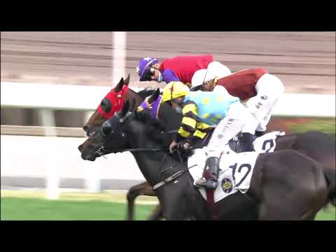 14/2/2021 (423) Dandy Years -  C Soumillon