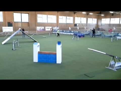 Kaiseraugst 31.01.15 Cendrine & Happy Agility L1