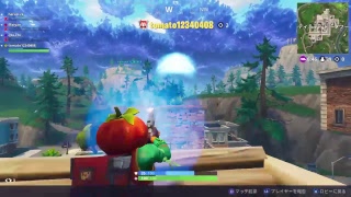 フォートナイト