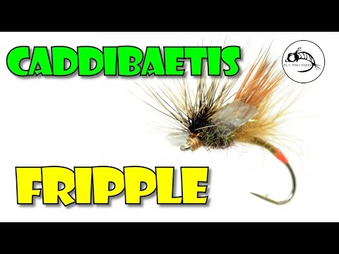 Fly Tying Tutorial: Caddibaetis Fripple by Fly Fish Food