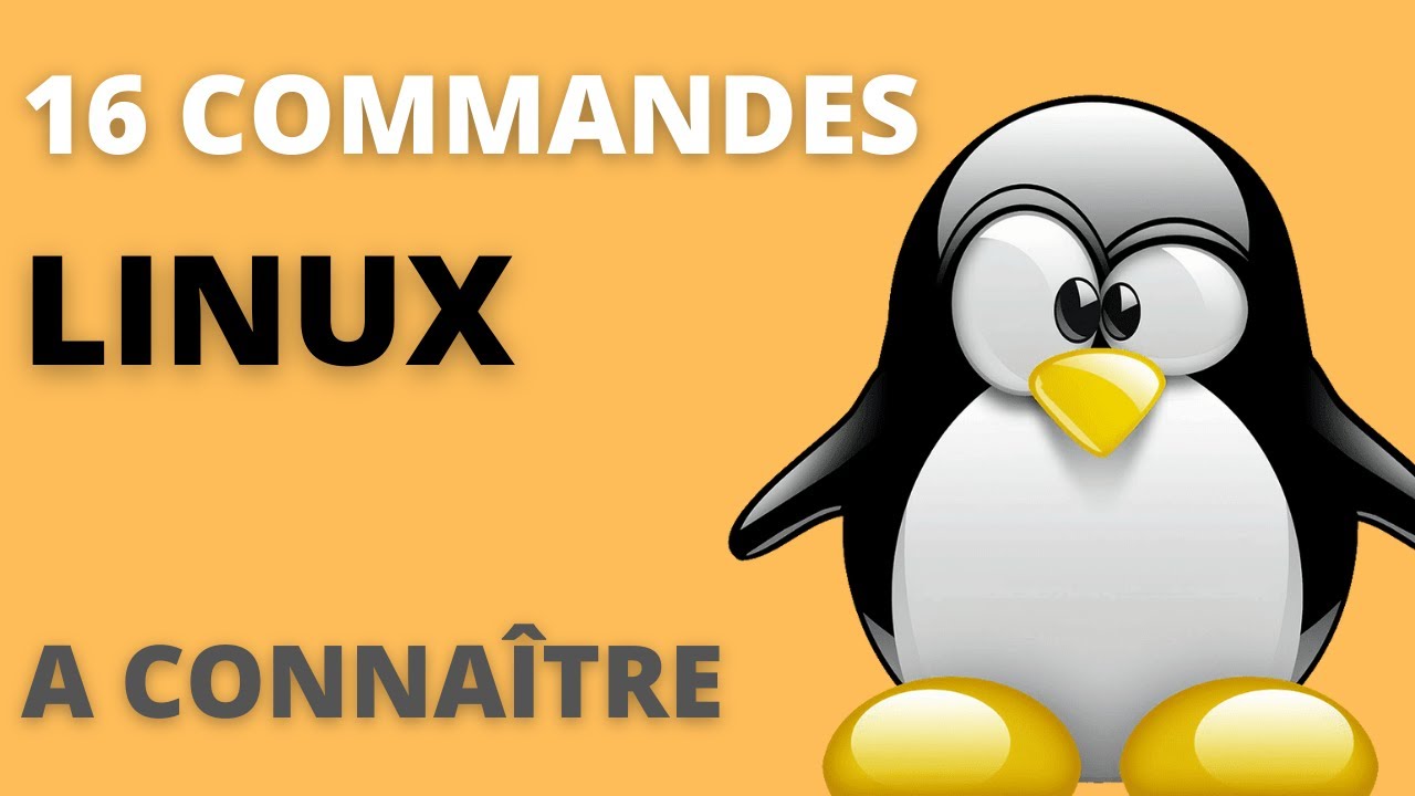 16 commandes LINUX à connaitre absolument