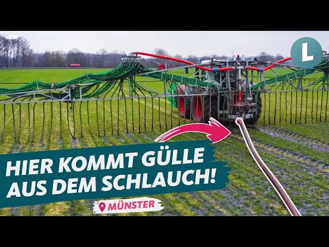 Lohnunternehmer setzt auf Verschlauchung | WDR Lokalzeit Land.Schafft.