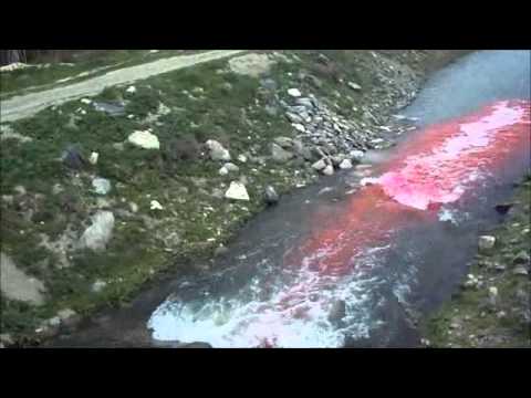 Tracer Dye Tests - Rhodamine WT