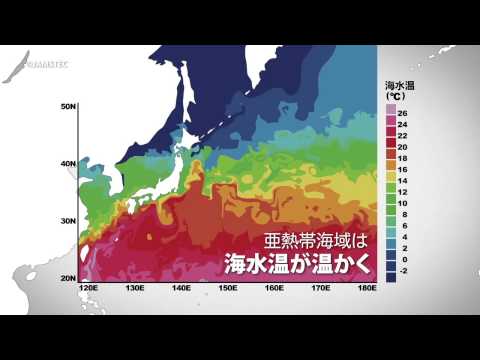 気候変動によりプランクトンはどのように変化するのか