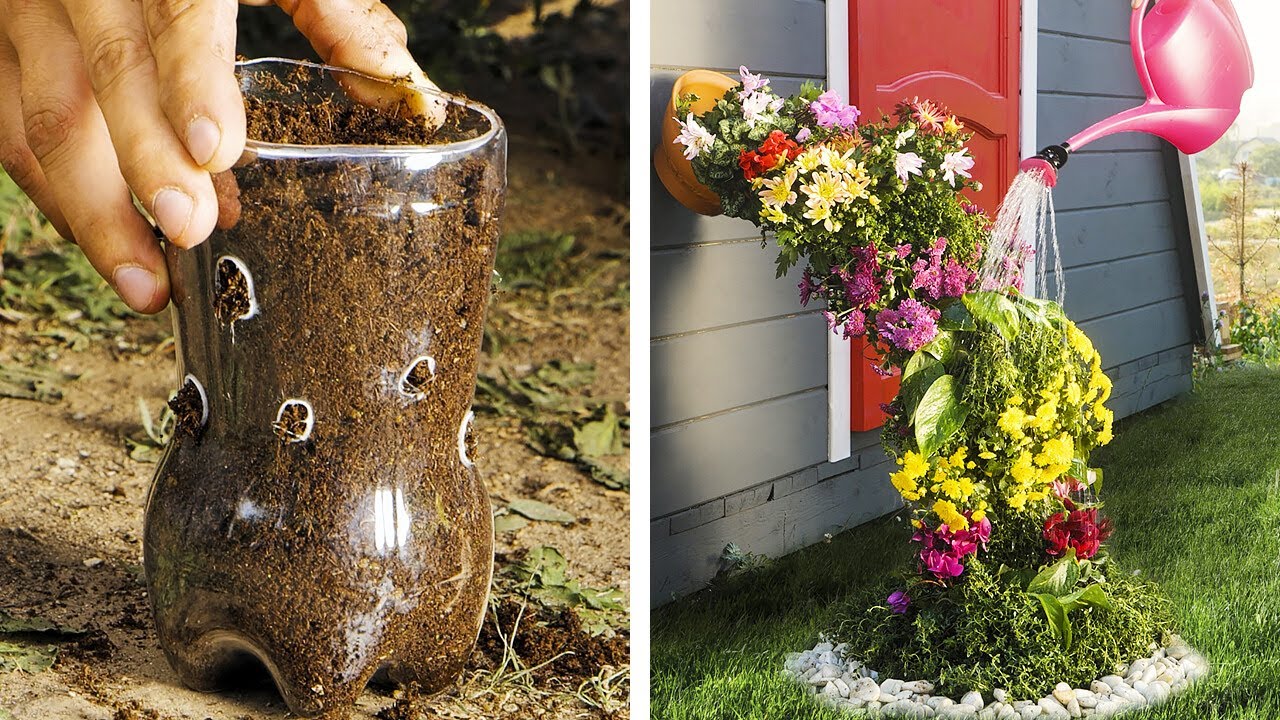 手間なく成長とお手入れができる賢い植物のハック！