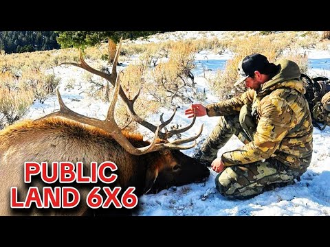One More Ridge -- An Idaho elk hunt