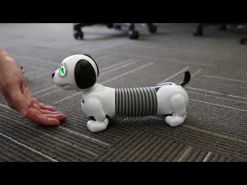 GS9004 Robo Dackel 2