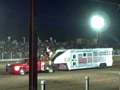 John Payne at Chief Joseph Days Rodeo