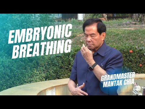 Embryonic breathing technique. Qigong and breathwork practice with Taoist Master Mantak Chia ☯️