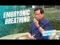 Embryonic Breathing Technique Qigong And Breathwork Practice With Taoist Master Mantak Chia ️